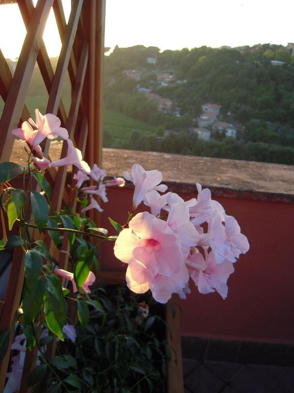 Casa Vacanze Palazzo Primoli Ariccia Bagian luar foto